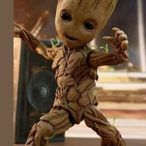 Meet your Posher, Joy